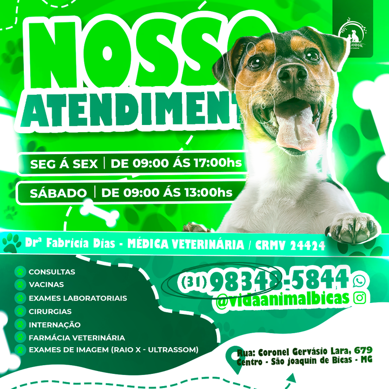 Flyer Animada Atendimento - ©Vida Animal