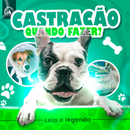 Flyer Estática Castração - ©Vida Animal