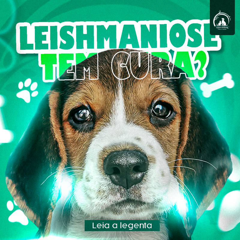 Flyer Estática Leishmaniose - ©Vida Animal