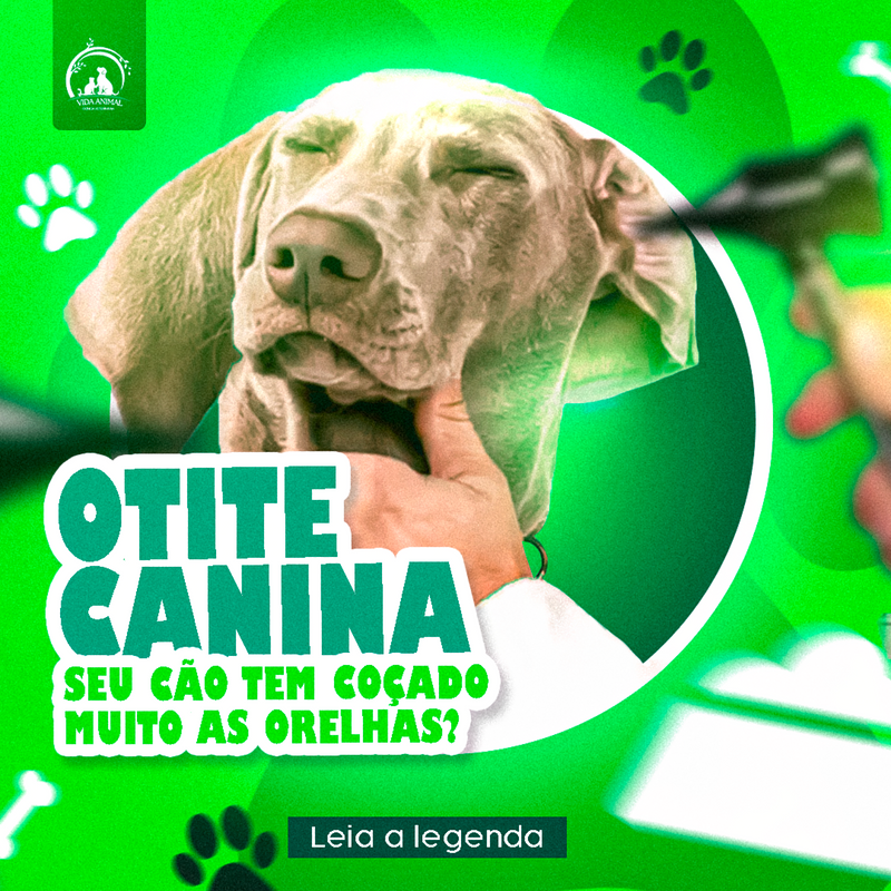 Flyer Estática Otite - ©Vida Animal