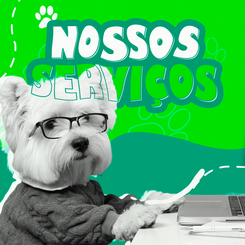 VSL Veterinária - ©Vida Animal